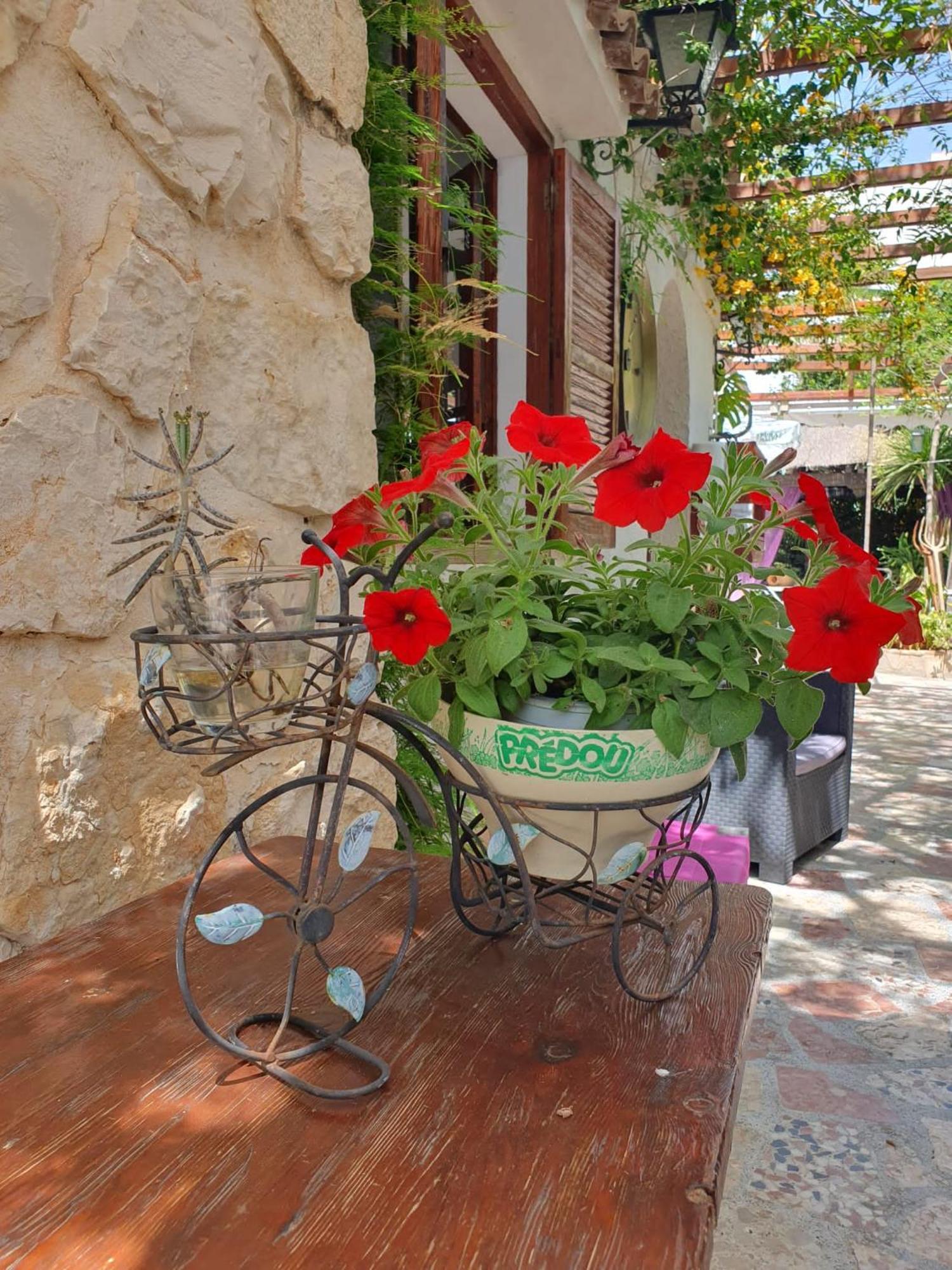 Hostal Mi Campana Dénia Buitenkant foto