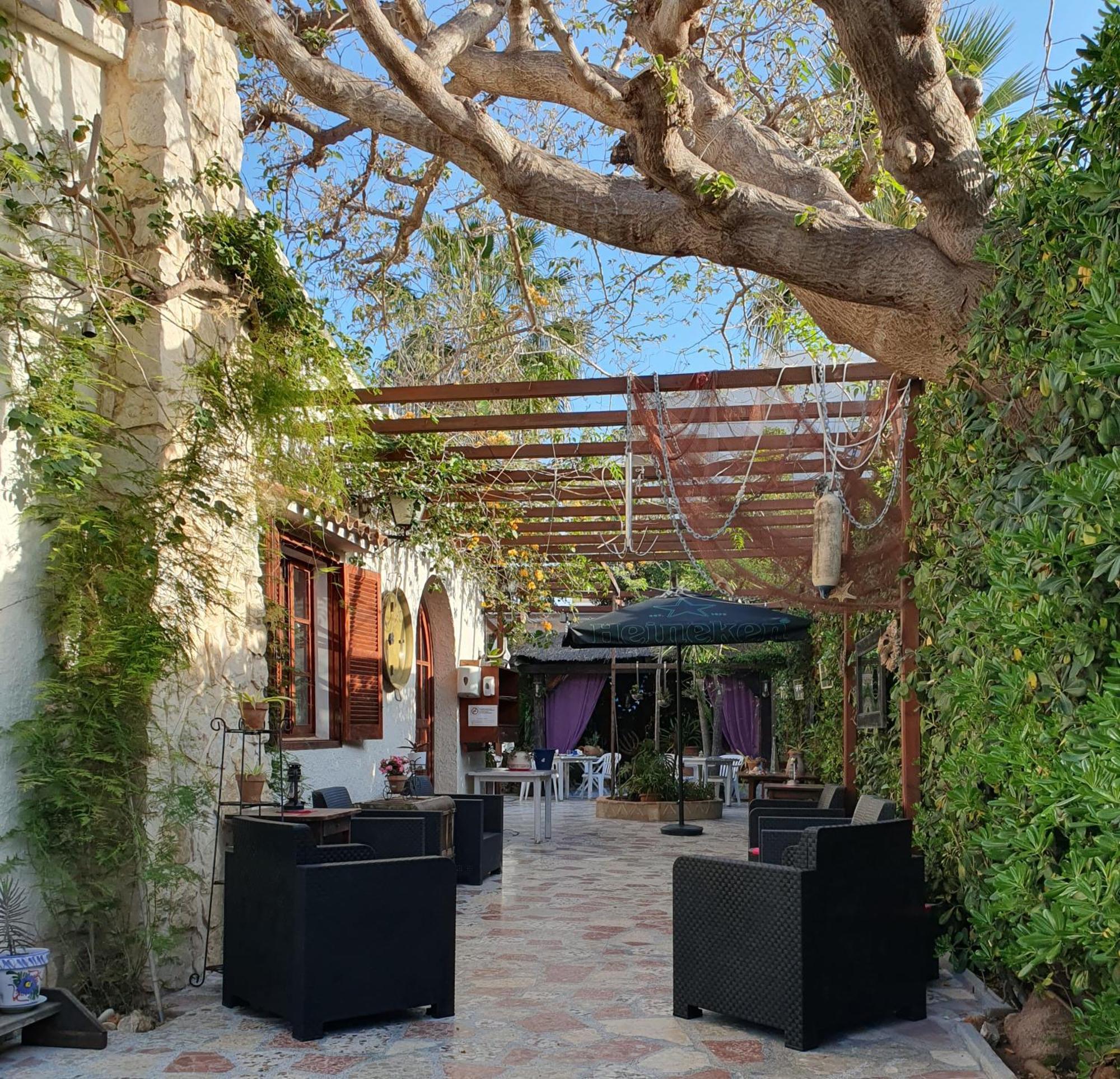 Hostal Mi Campana Dénia Buitenkant foto
