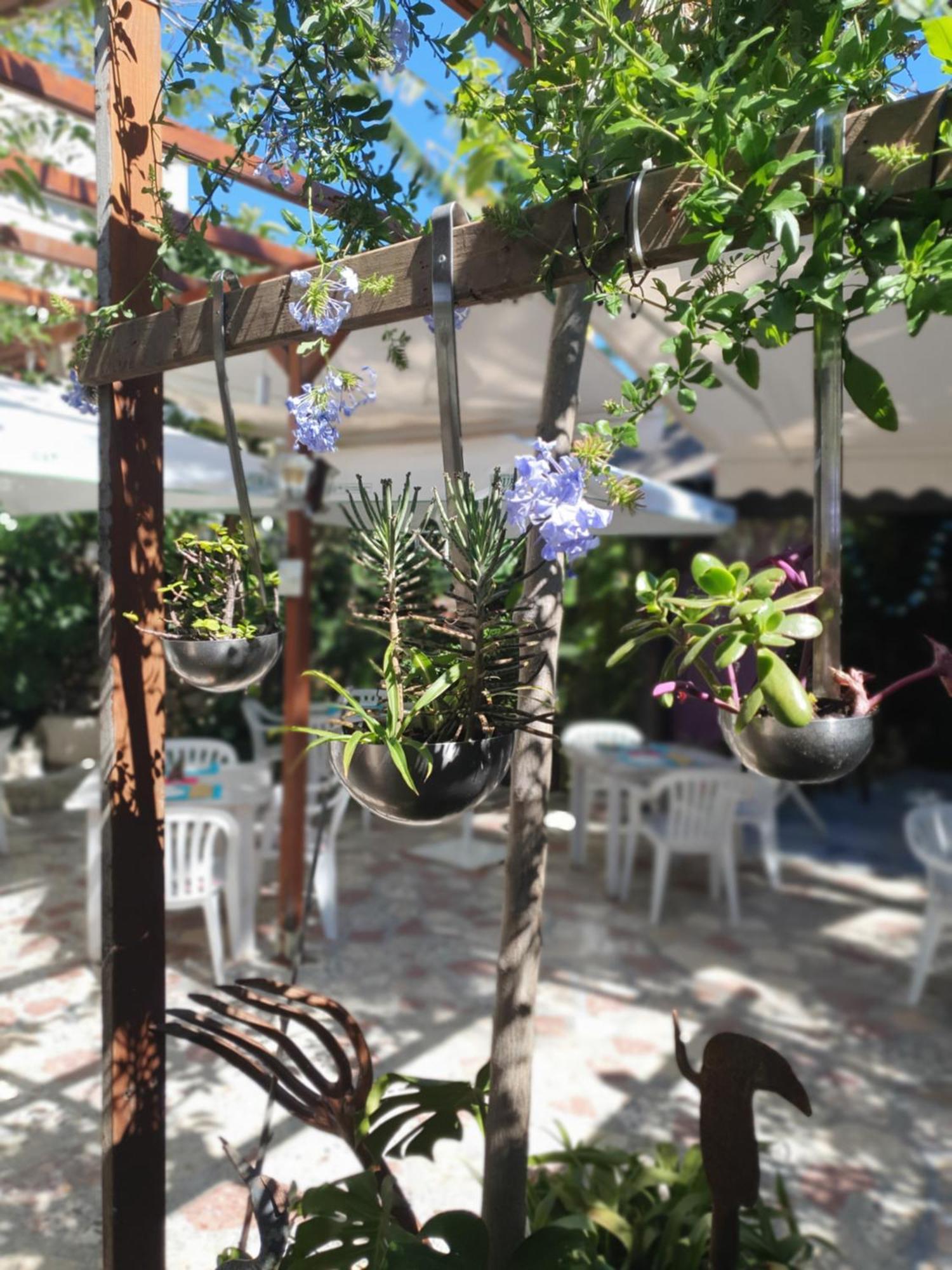 Hostal Mi Campana Dénia Buitenkant foto