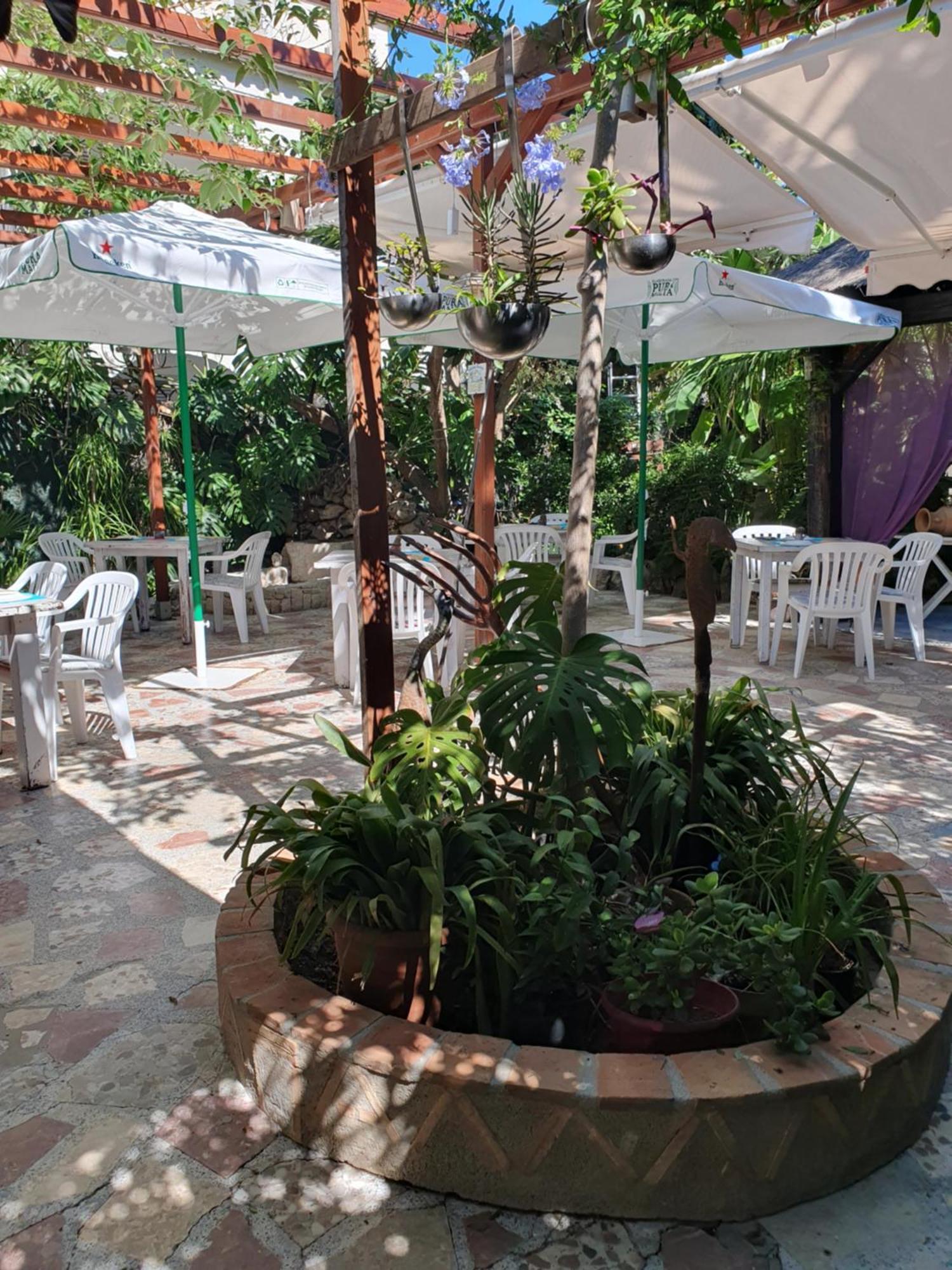 Hostal Mi Campana Dénia Buitenkant foto